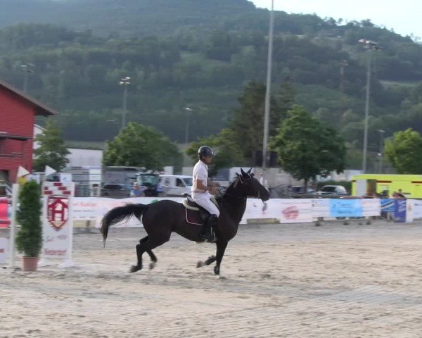 Reitturnier Balsthal 2025