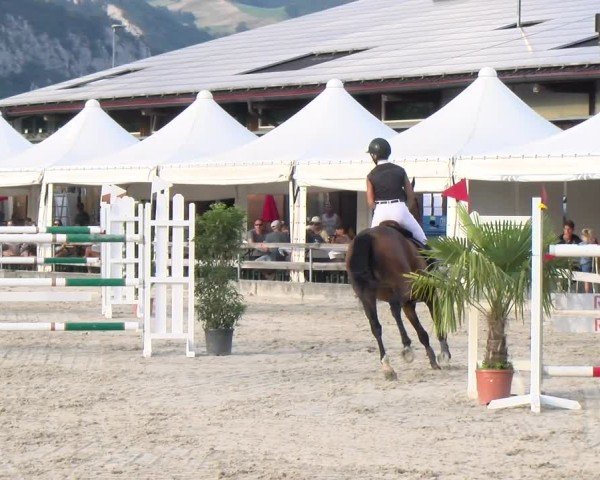 Reitturnier Balsthal 2025