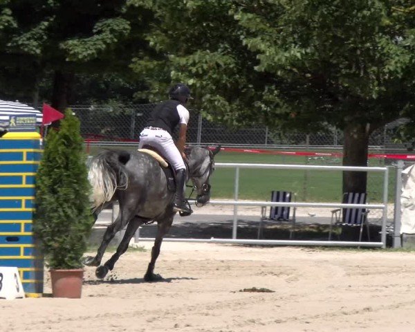 Reitturnier Balsthal 2025