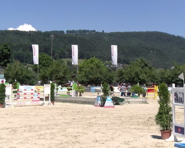 Reitturnier Balsthal 2025