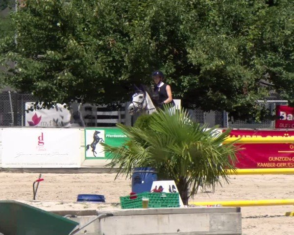 Reitturnier Balsthal 2025