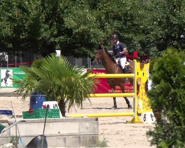 Reitturnier Balsthal 2025