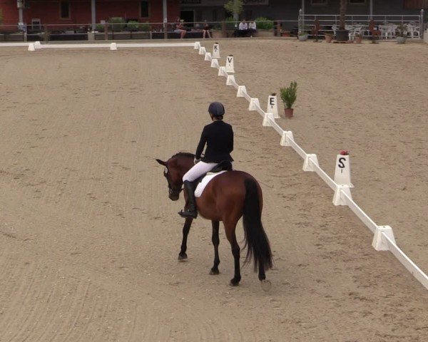 Reitturnier Uder, Reitanlage Kobold 2025