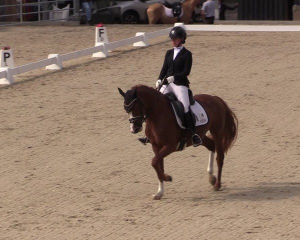 Reitturnier Uder, Reitanlage Kobold 2025