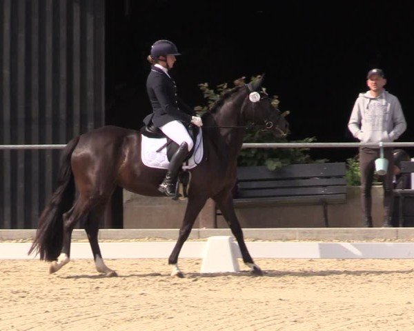 Reitturnier Uder, Reitanlage Kobold 2025