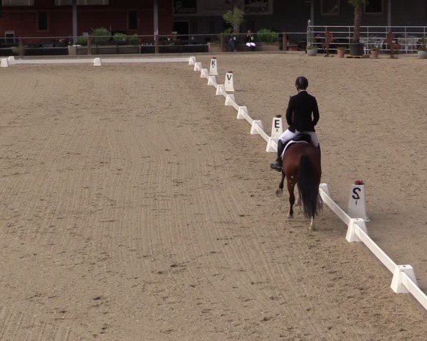 Reitturnier Uder, Reitanlage Kobold 2025