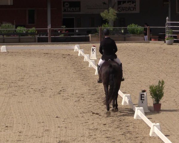 Reitturnier Uder, Reitanlage Kobold 2025