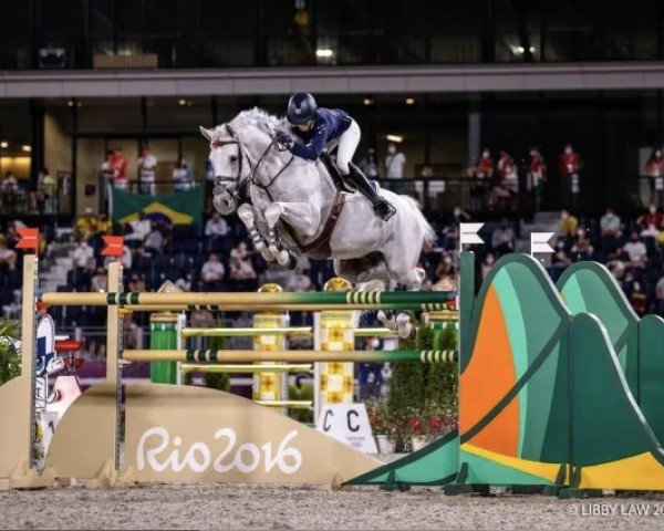 jumper Casebrooke Lomond (Holsteiner, 2008, from Lansing) jumper Casebrooke Lomond (Holsteiner, 2008, from Lansing)