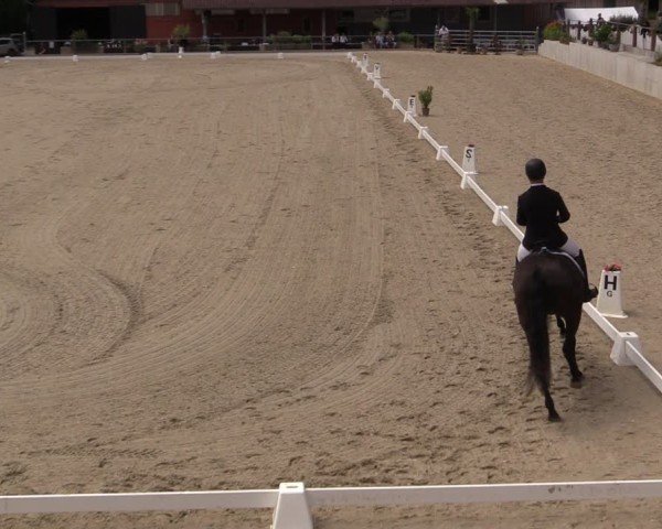 Reitturnier Uder, Reitanlage Kobold 2025