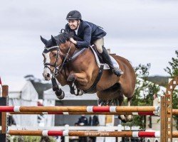 jumper Daprice (KWPN (Royal Dutch Sporthorse), 2008, from Quaprice Z)