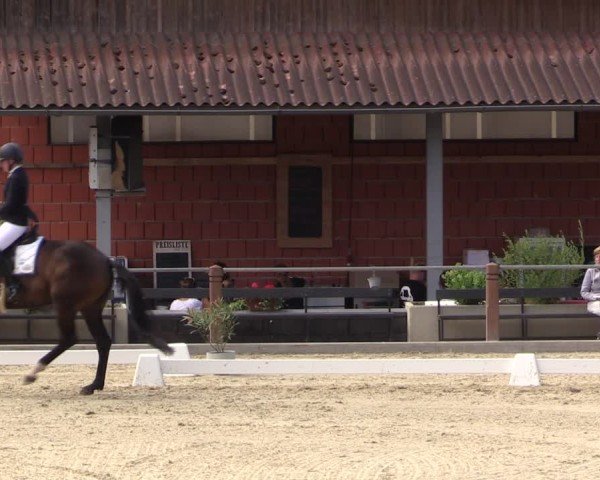 Reitturnier Uder, Reitanlage Kobold 2025