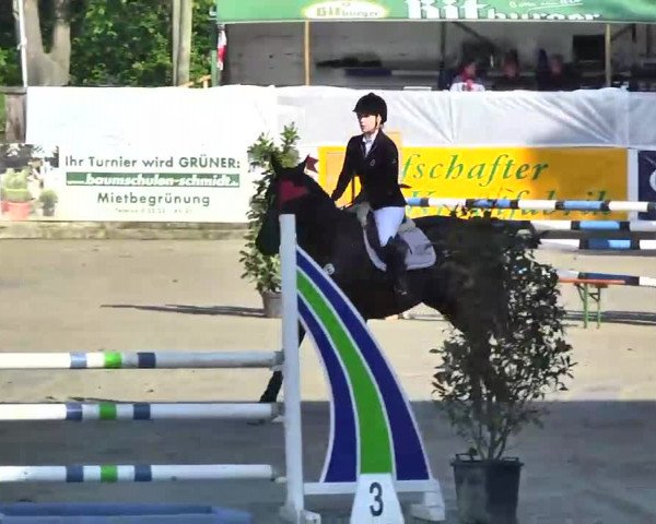 8. Adendorfer Burgturnier