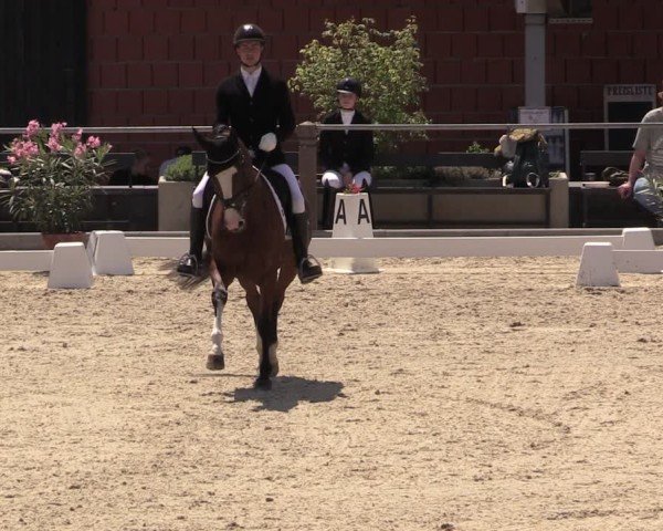 Reitturnier Uder, Reitanlage Kobold 2025