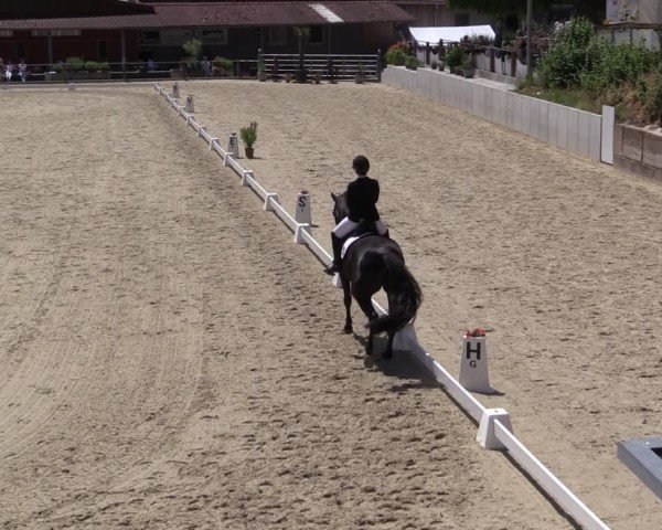Reitturnier Uder, Reitanlage Kobold 2025