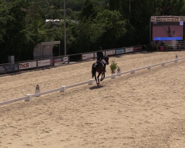 Reitturnier Uder, Reitanlage Kobold 2025