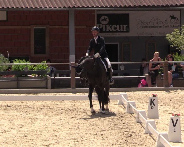 Reitturnier Uder, Reitanlage Kobold 2025