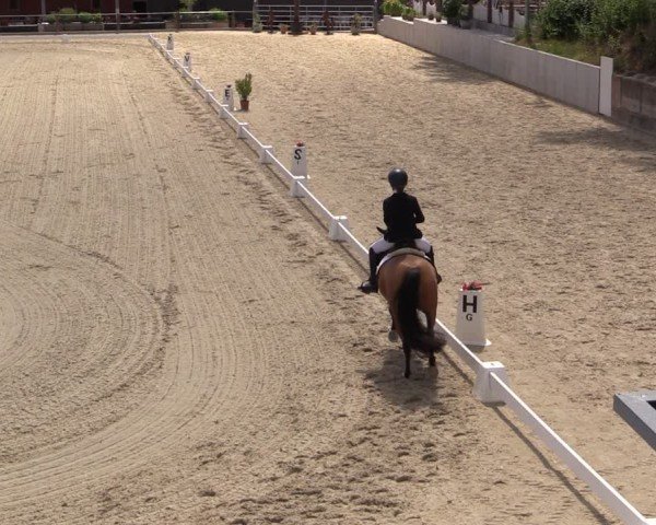 Reitturnier Uder, Reitanlage Kobold 2025