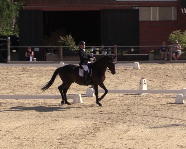 Reitturnier Uder, Reitanlage Kobold 2025
