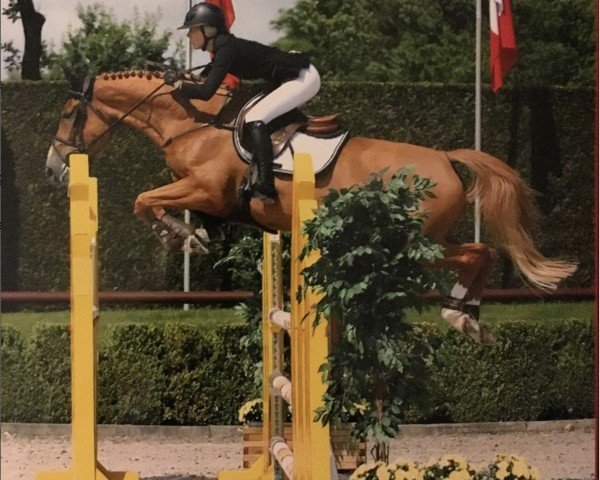 broodmare Lovely Lady (Oldenburg, 2011, from Landjonker (Fruhling))