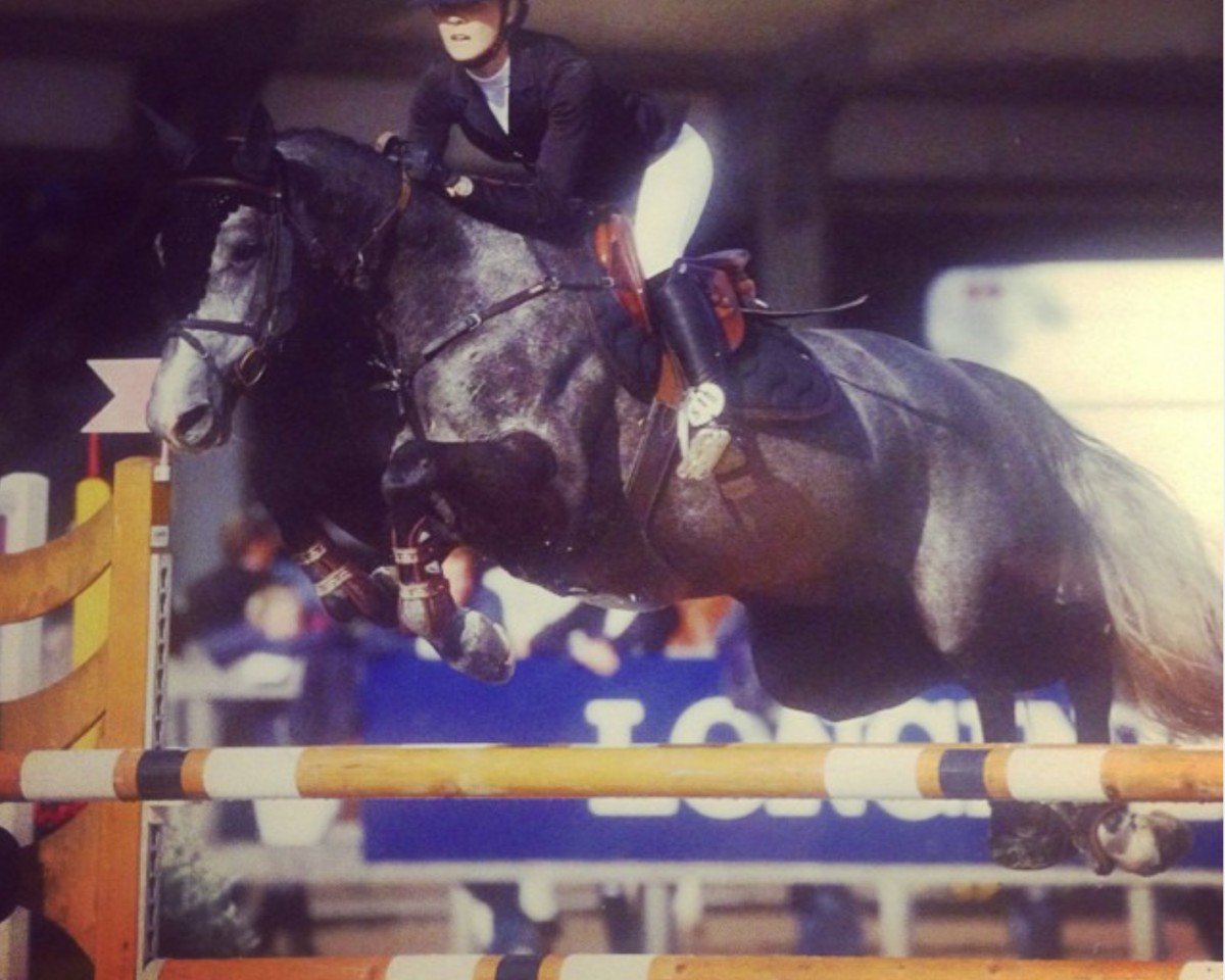 Springpferd Fortuna Flamingo (KWPN (Niederländisches Warmblut), 2010, von VDL Harley)