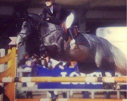 jumper Fortuna Flamingo (KWPN (Royal Dutch Sporthorse), 2010, from VDL Harley)