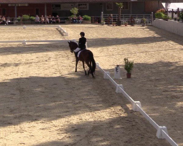 Reitturnier Uder, Reitanlage Kobold 2025