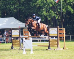 jumper Billy the Kid 62 (Zangersheide riding horse, 2018, from Berlioz du Lys)