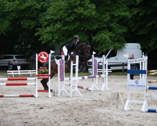 jumper Lavazza (Rhinelander, 2007, from Lamoureux I)