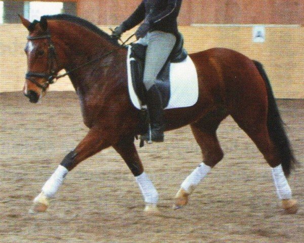 horse Fleurette (Freiberger, 2004, from Hollywood)