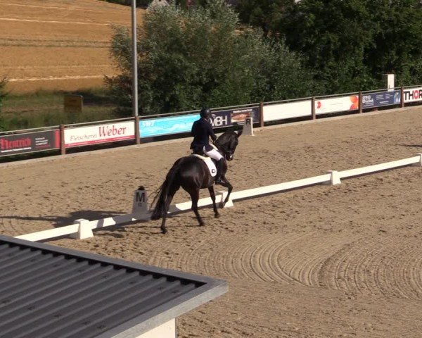 Reitturnier Uder, Reitanlage Kobold 2025