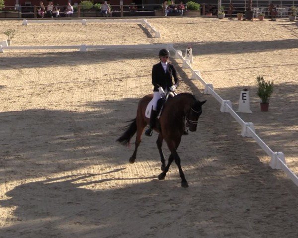 Reitturnier Uder, Reitanlage Kobold 2025