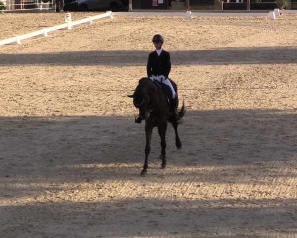 Reitturnier Uder, Reitanlage Kobold 2025