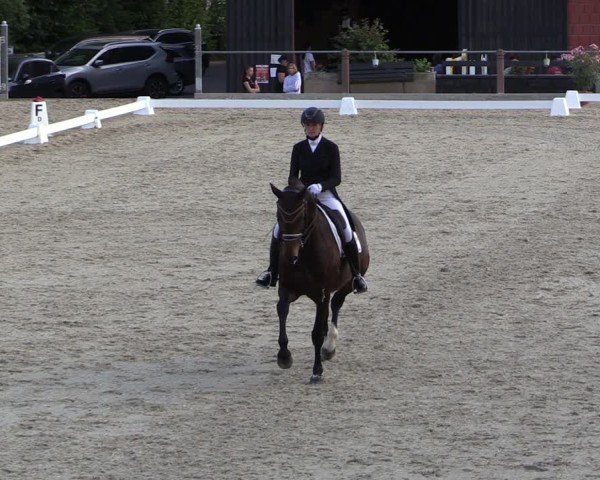 Reitturnier Uder, Reitanlage Kobold 2025