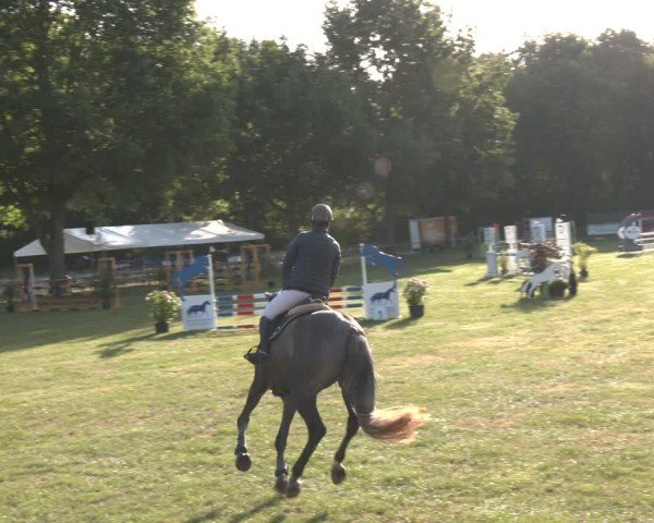 Reitturnier Wohlesbostel 2025