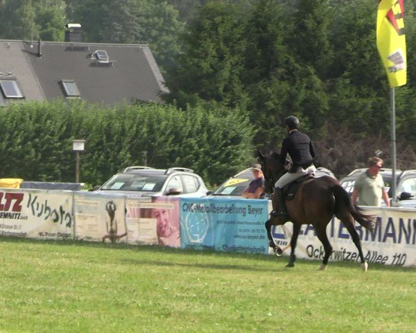 Reitturnier Burgstädt 2025
