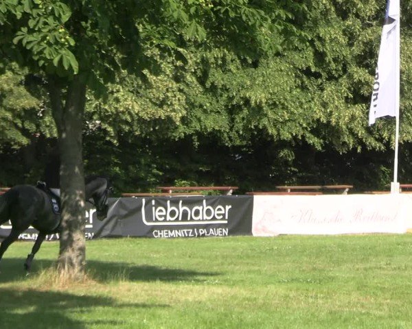 Reitturnier Burgstädt 2025