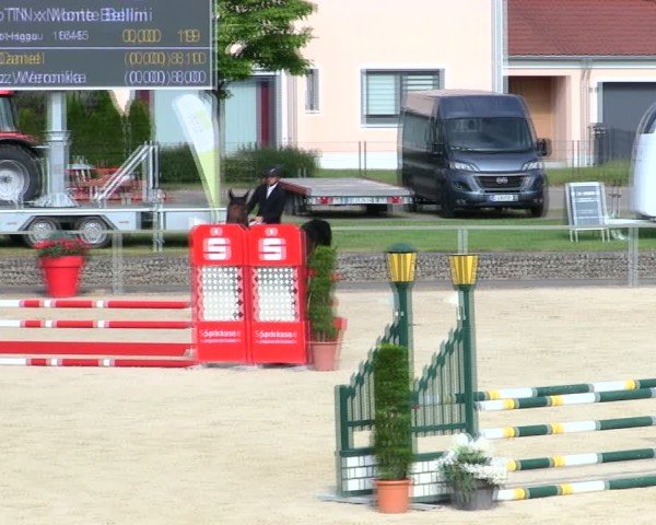 Reitturnier Ingolstadt-Hagau/Obb. 2025