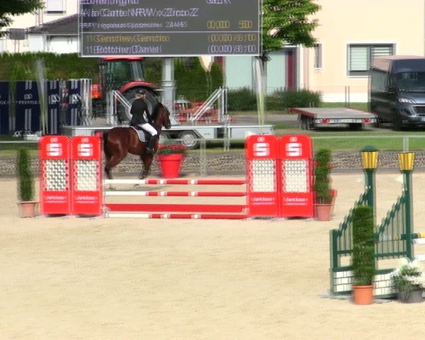 Reitturnier Ingolstadt-Hagau/Obb. 2025