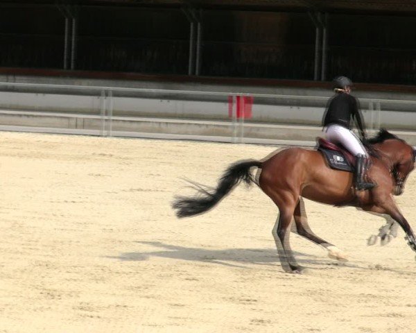 Reitturnier Ingolstadt-Hagau/Obb. 2025