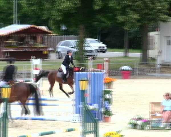 Reitturnier Ingolstadt-Hagau/Obb. 2025