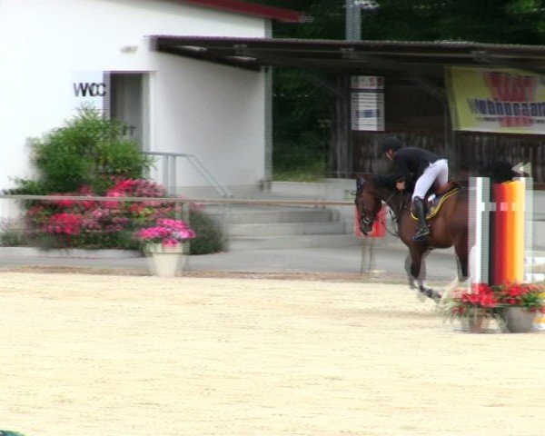 Reitturnier Ingolstadt-Hagau/Obb. 2025
