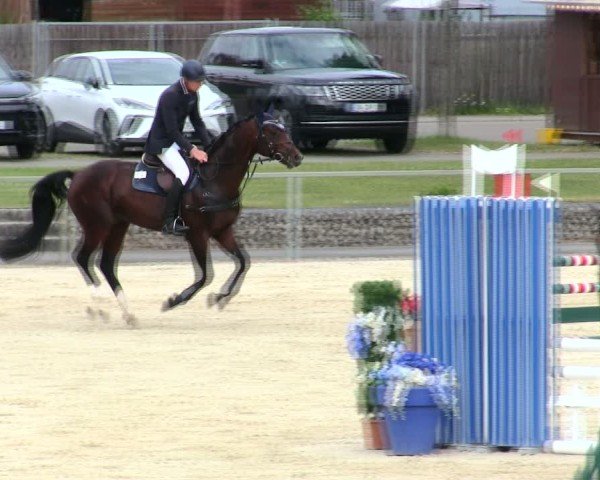 Reitturnier Ingolstadt-Hagau/Obb. 2025