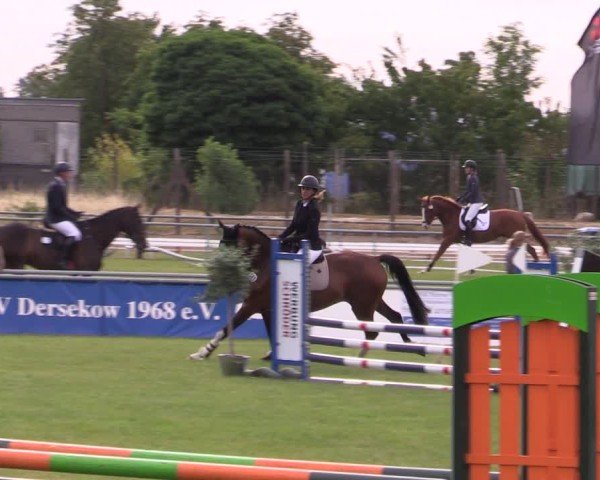 Reitturnier Dersekow 2025