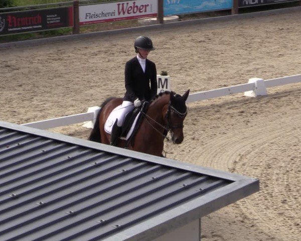 Reitturnier Uder, Reitanlage Kobold 2025
