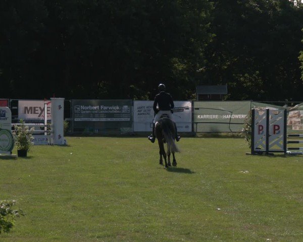 Reitturnier Wohlesbostel 2025