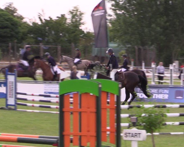 Reitturnier Dersekow 2025
