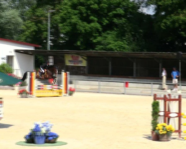 Reitturnier Ingolstadt-Hagau/Obb. 2025