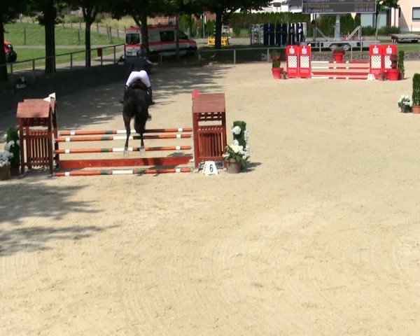Reitturnier Ingolstadt-Hagau/Obb. 2025