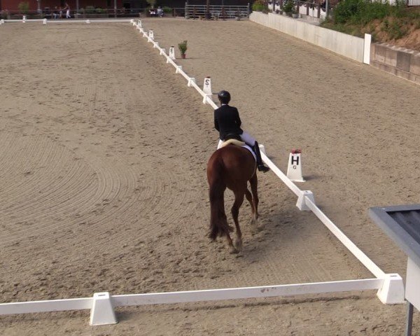 Reitturnier Uder, Reitanlage Kobold 2025