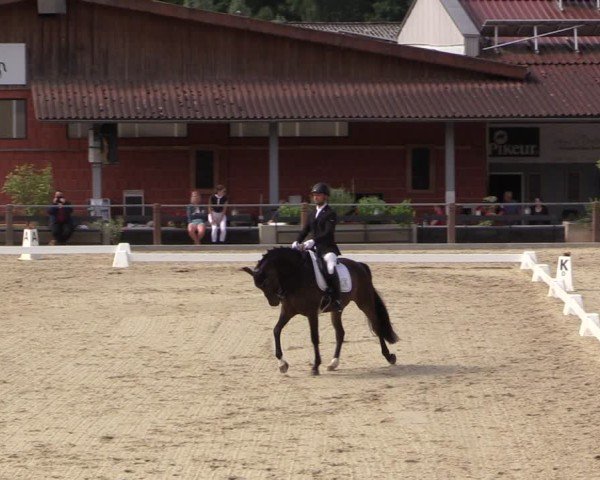 Reitturnier Uder, Reitanlage Kobold 2025